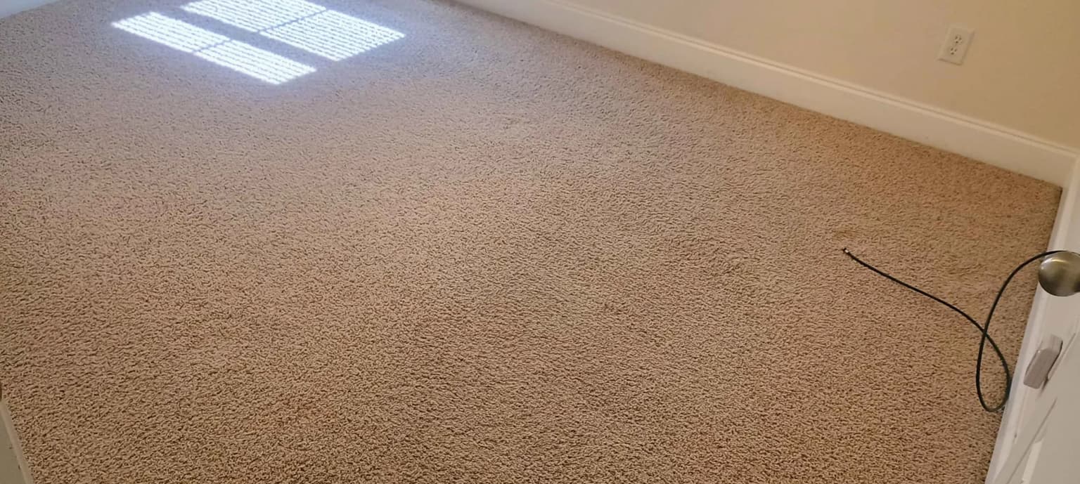Carpet cleaning in Cypress, TX