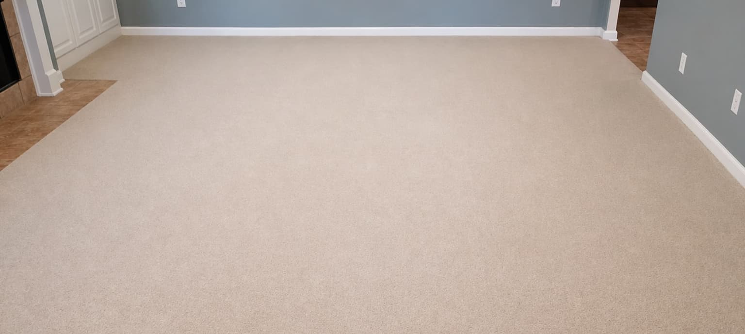 Carpet cleaning in Houston, TX