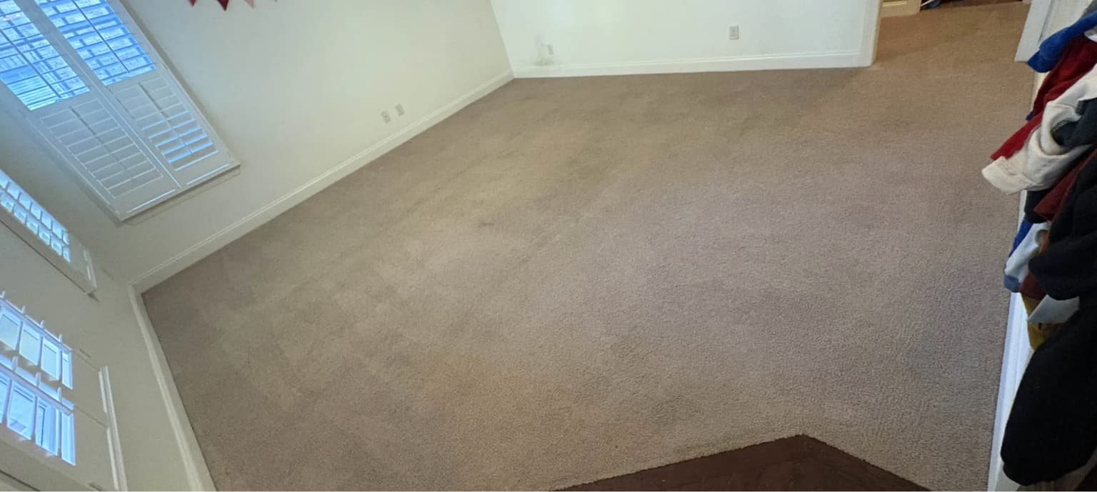 Carpet cleaning in Katy, TX