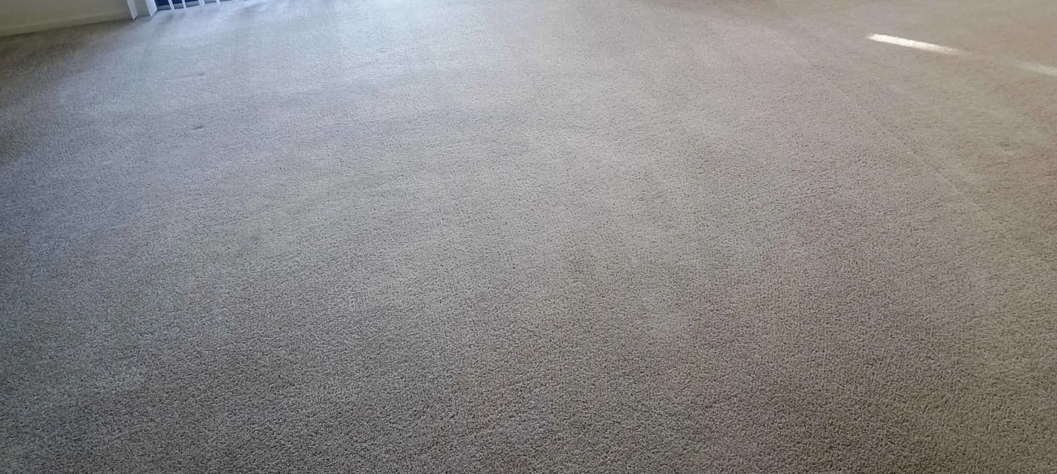 Carpet cleaning in Klein, TX