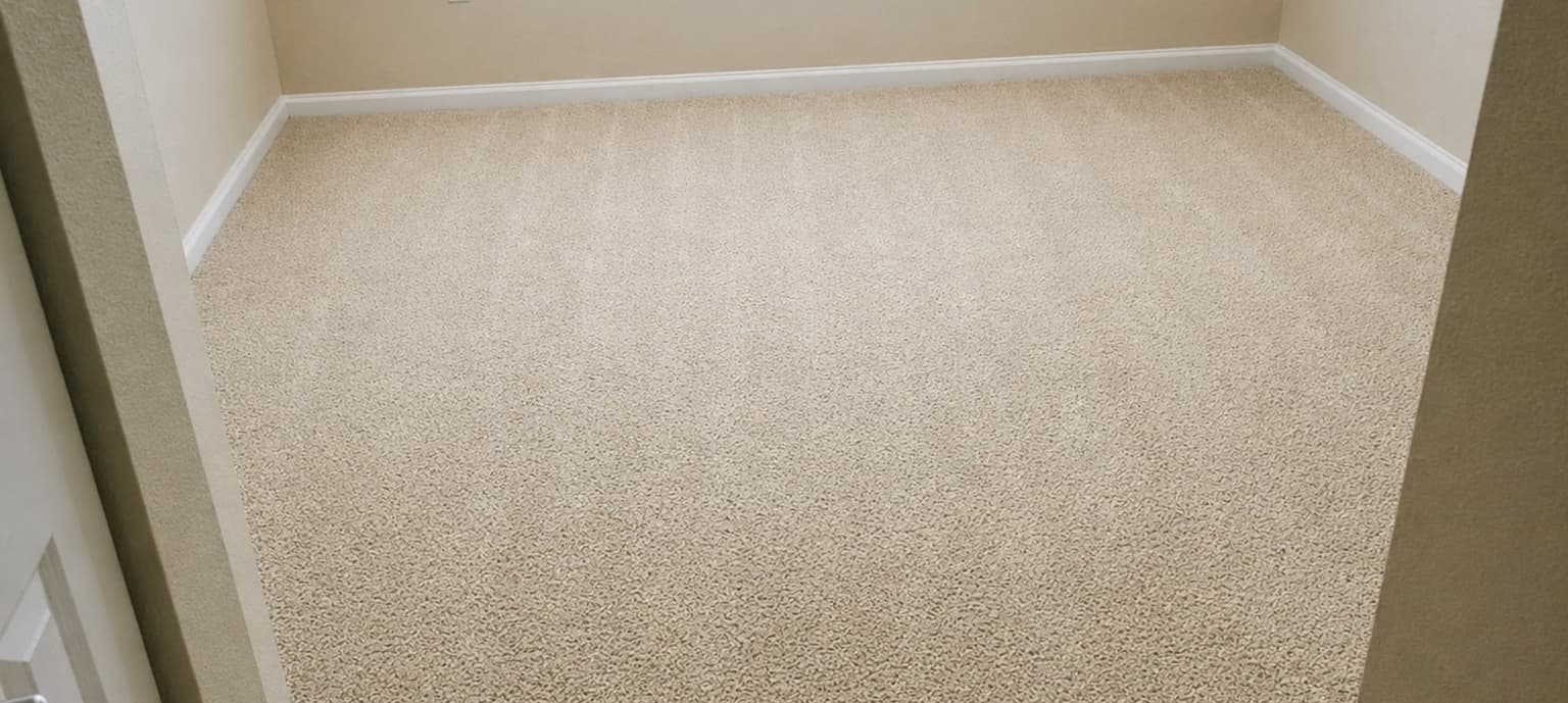 Carpet cleaning in Spring, TX