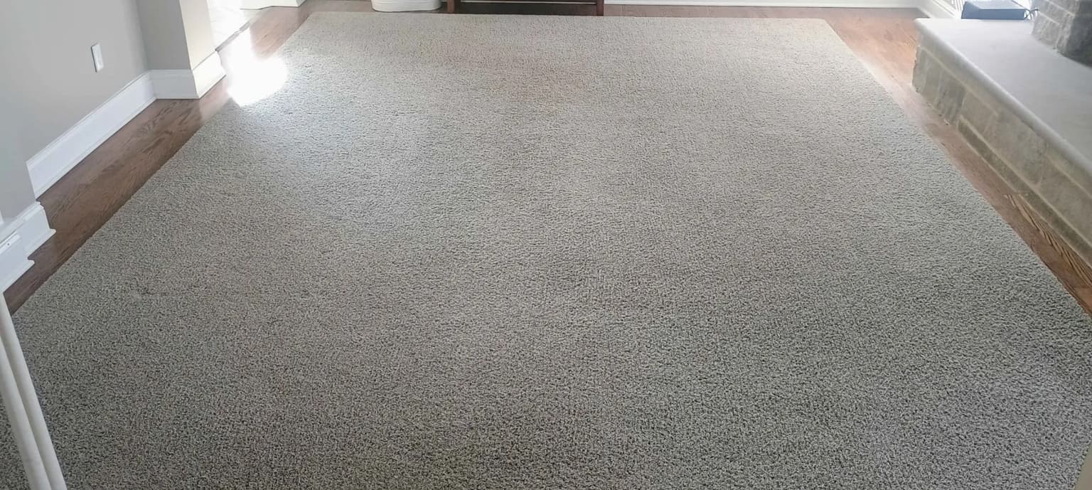 Carpet cleaning in Sugar Land, TX