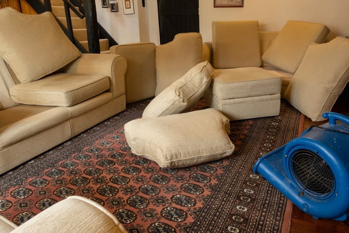 Steam Cleaning vs Low-Moisture Carpet Cleaning: Which Is Better?