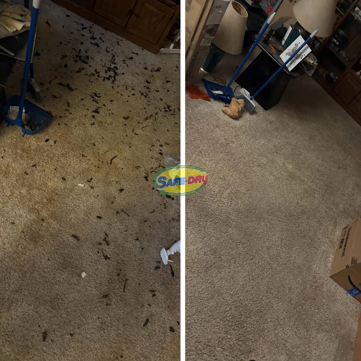 What Happens If You Skip Professional Carpet Cleaning for Years?