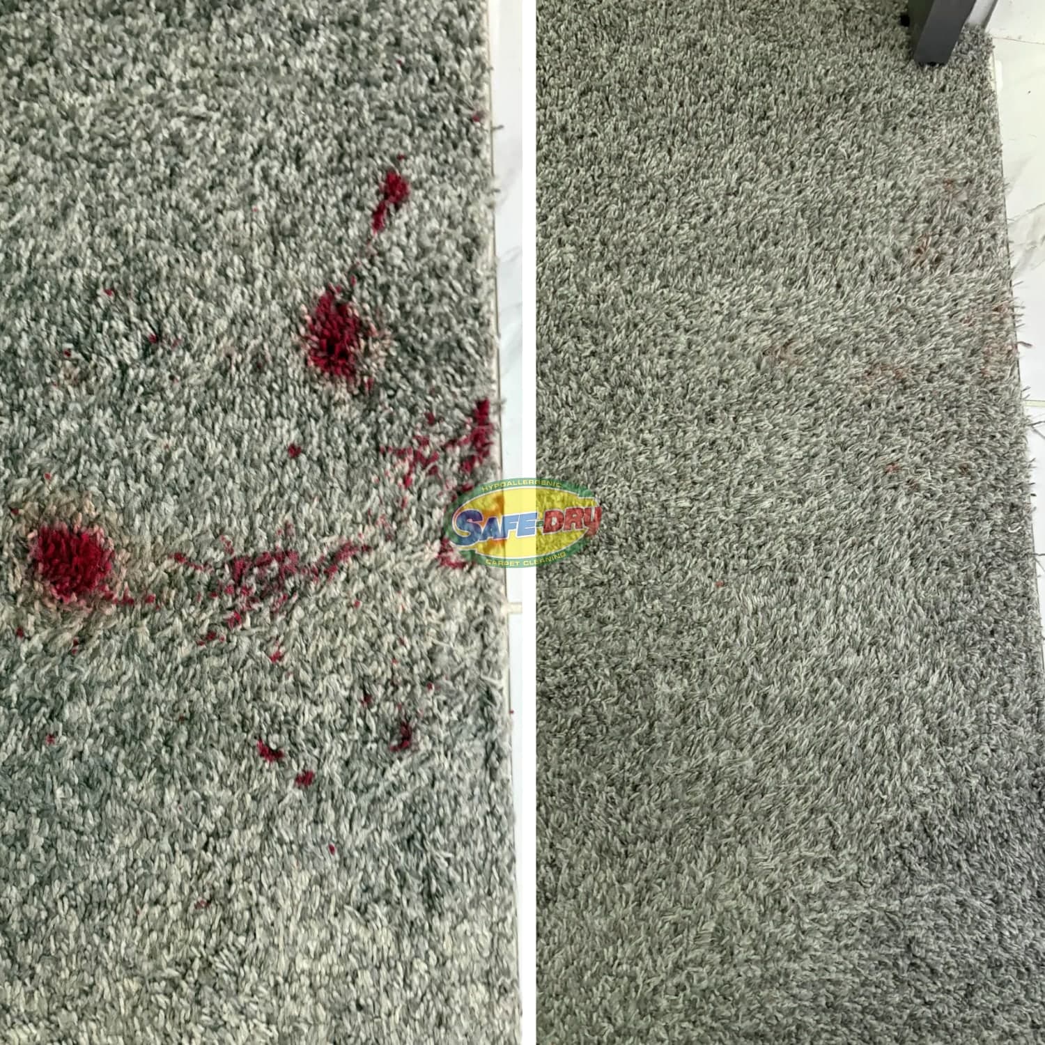 What Is the Best Carpet Cleaner Solution for Stains?