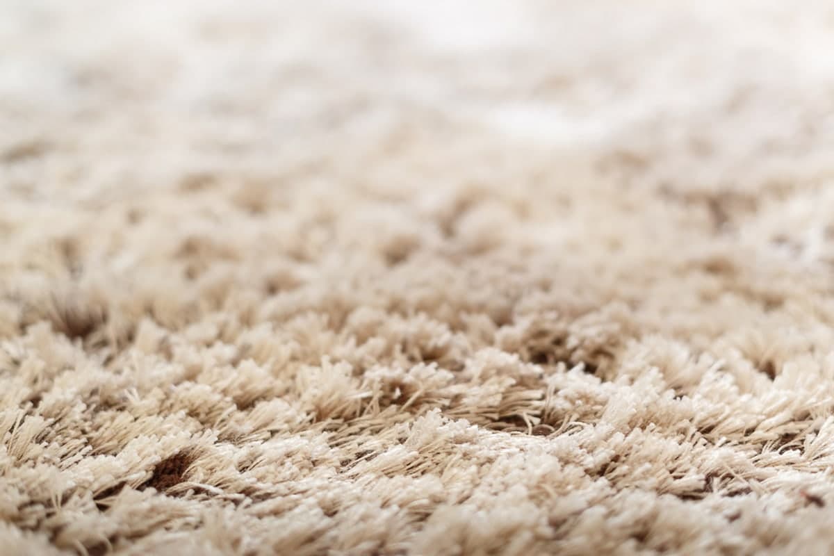 Why Do Carpets Feel Weird After Cleaning?