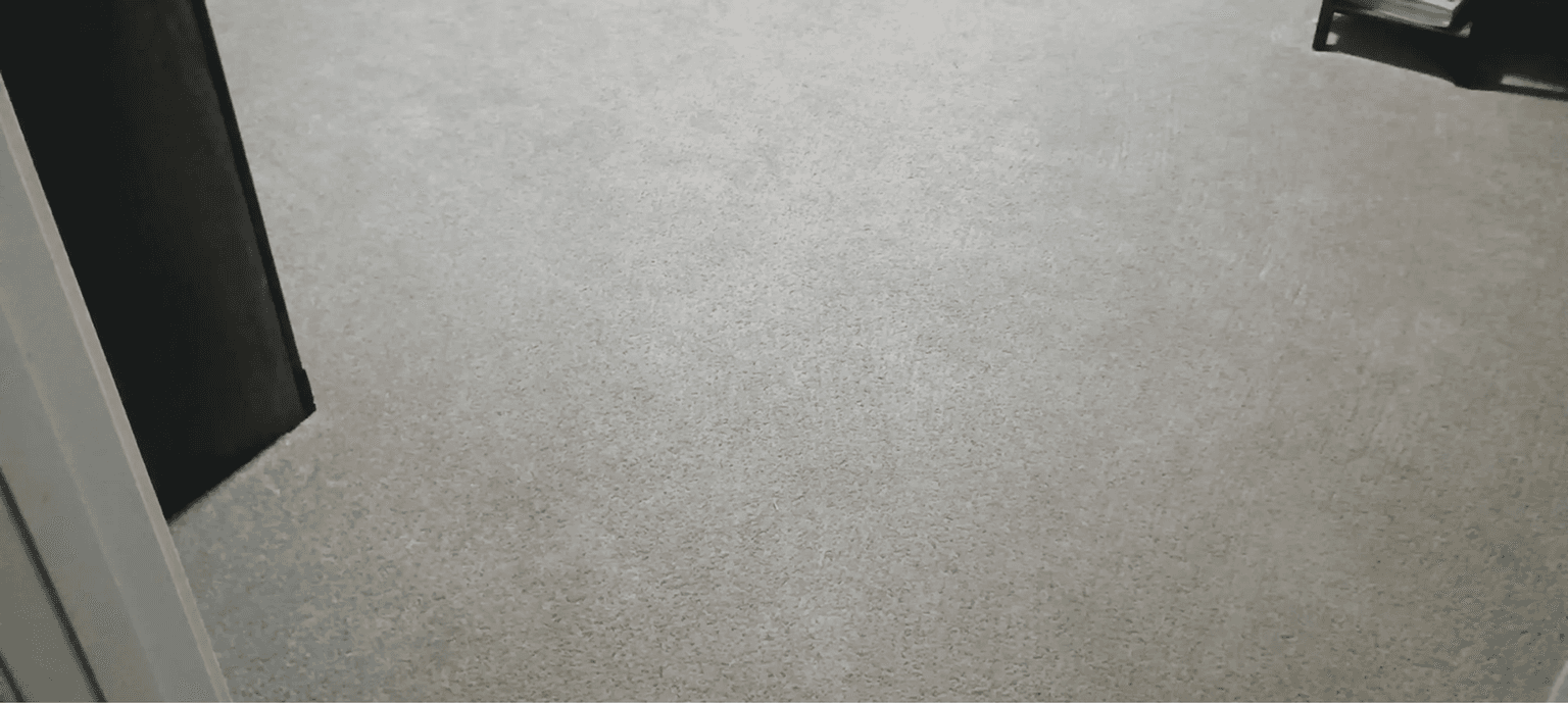 Pet Odor & Stain Removal in Cypress, TX