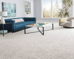 Modern home with clean carpet