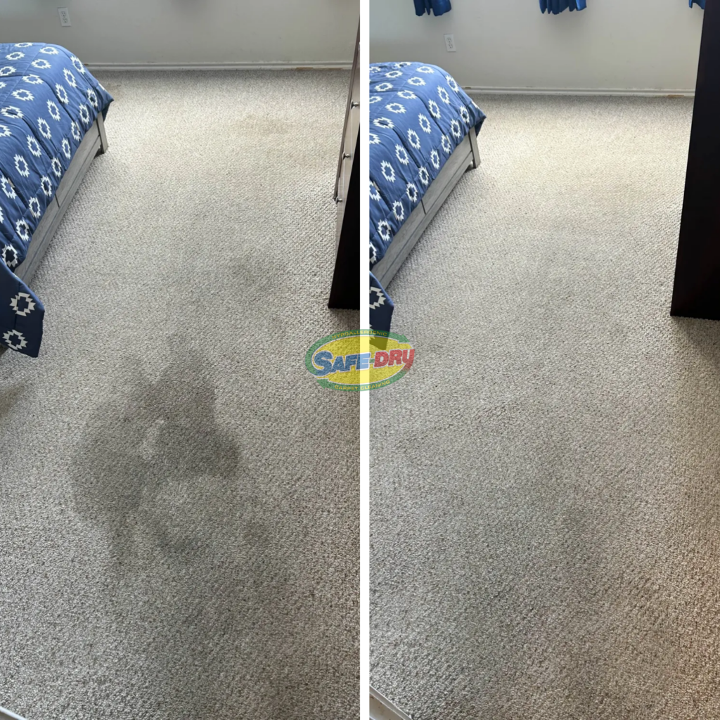 Before and After Carpet Cleaning